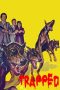 Nonton Film Ali & The Queens (2021) Terbaru Nonton Film Ali & The Queens (2021) Terbaru